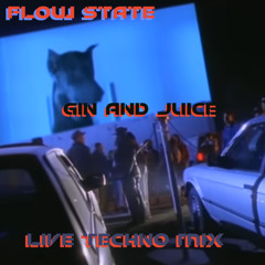 GIN AND JUICE - FLOW STATE LIVE TECHNO MIX 2025