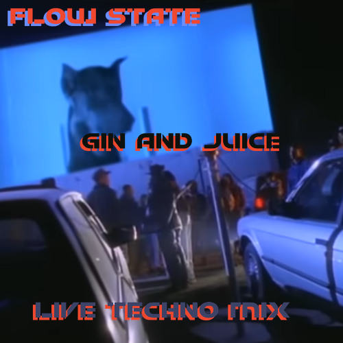 GIN AND JUICE - FLOW STATE LIVE TECHNO MIX 2025