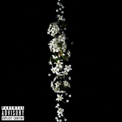 Black Porsche Ft. JVNN (Prod. ROBBIE)