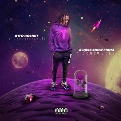 A Rose Grew From Concrete