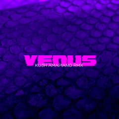 Faceless Ft Serotonin - Venus [KU3H Amapiano Remix]