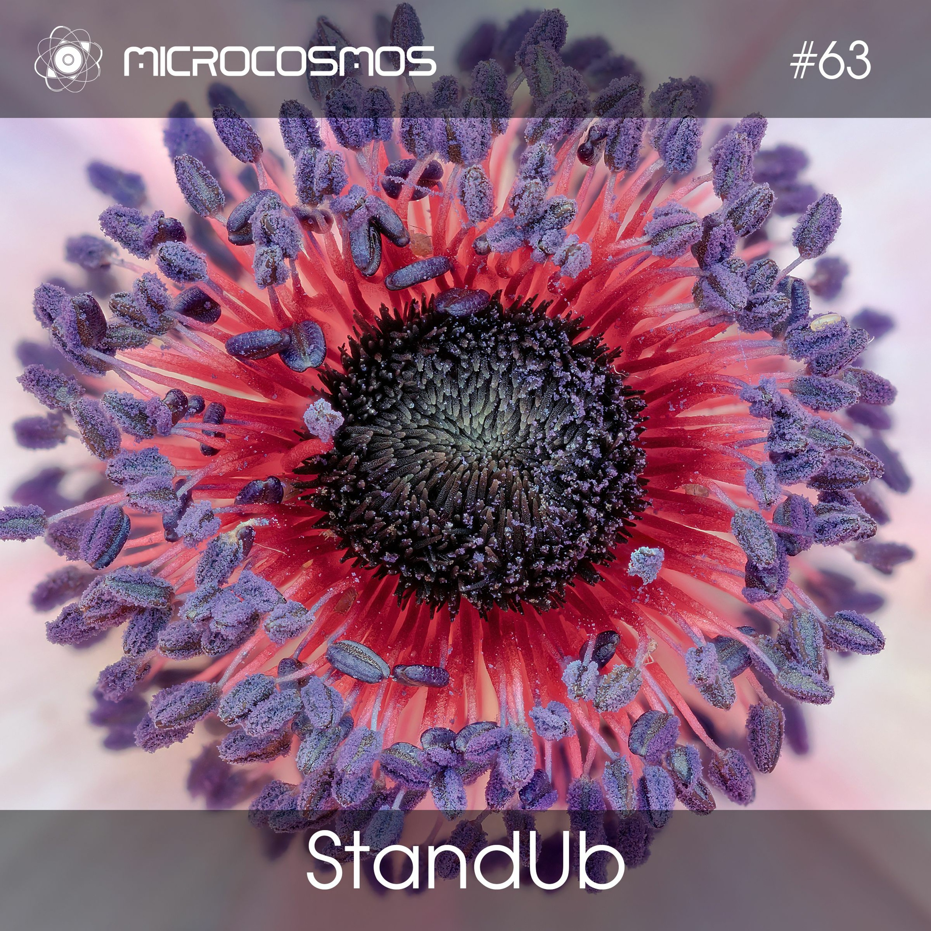 Microcosmos ChillOut and Ambient