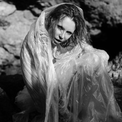 In the Land of Dreams (Paradise 2.0)