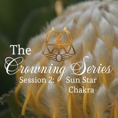 The Crowning Series Attunements: Session 2 - Sun Star Chakra