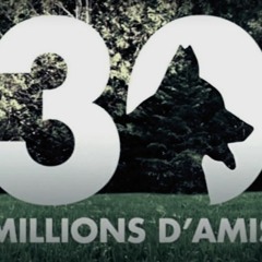 30 Millions d'Amis - Musique Générique [Remix version]