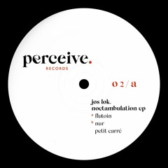 Jos Lok - Noctambulation EP (Perceive 02)