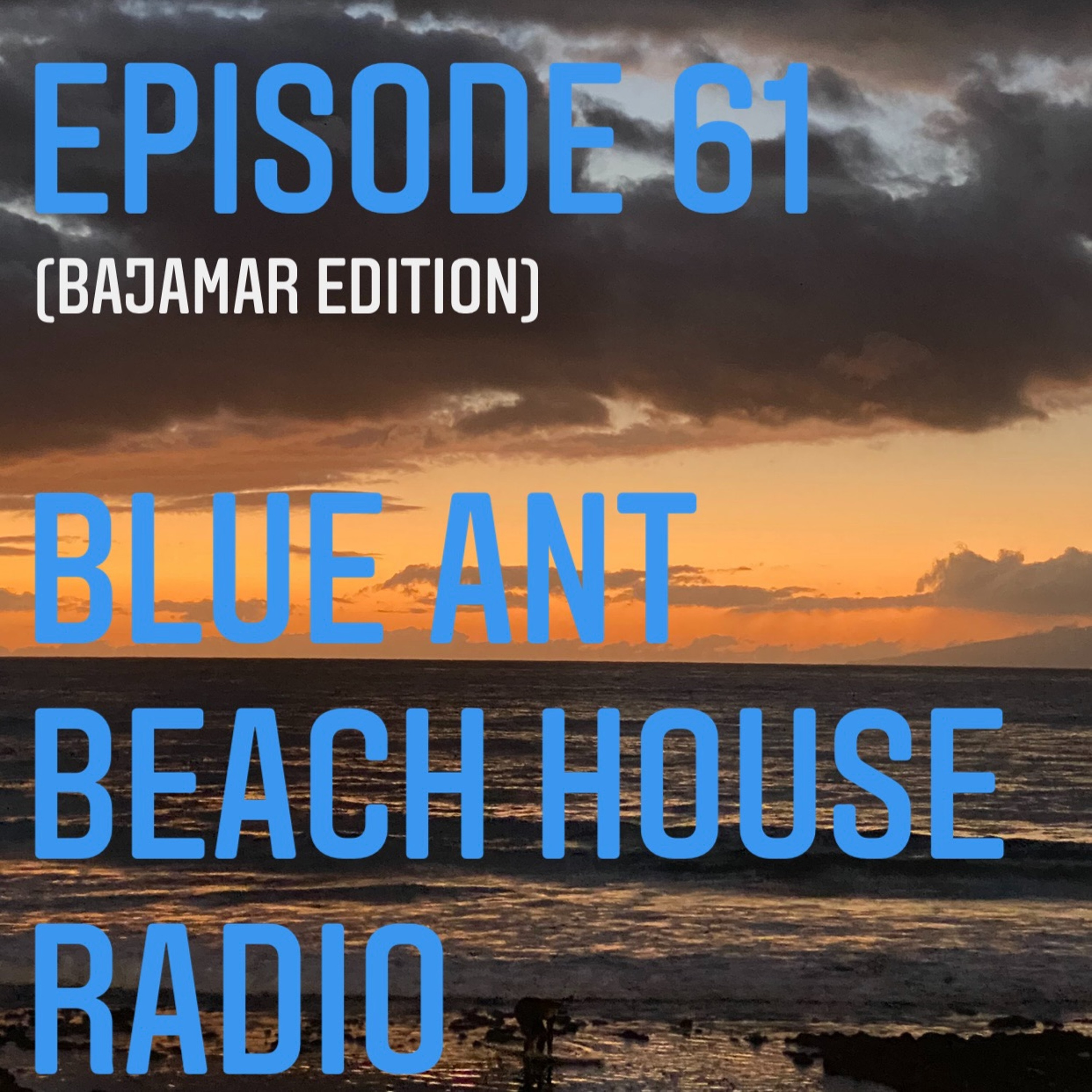 BlueAnt Beach House Radio