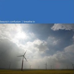Beautys Confusion - Whirlwind