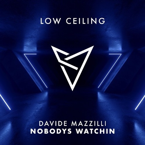 Davide Mazzilli - NOBODYS WATCHIN - (Original Mix)