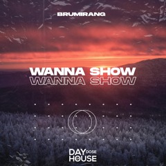 Bouncilla - Wanna Show