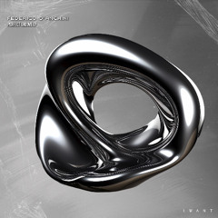PremEar: FEDERICO D'ANCHINI - Perfect Groove [IW221D]