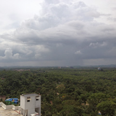 rain