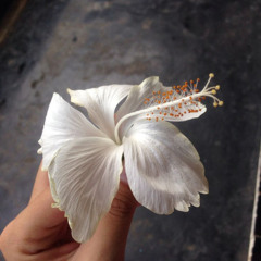 yuri & putri dahlia - old love (duet cover ft. kin)