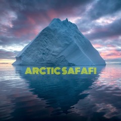 Arctic Safari