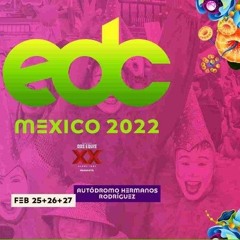 Electric Daisy Carnival 2022 Dj Contest - DJ Galeto