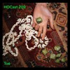 Download Video: HOCast #209 - Toé