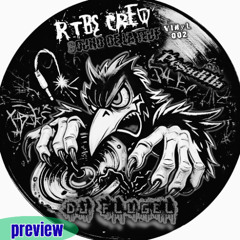 (preview) DJ FLUGEL RTBS CREW (VINYL 002 PESADILLA)
