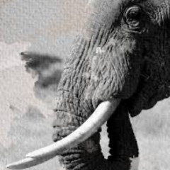 I_𝙺𝚎𝚎𝚙_𝙾𝙽 (ˢᵖⁱʳⁱᵗ ˢʰⁱⁿᵉ & ʸᵒᵘ ʰᵃᵗᵉ ⁱᵗ ) (instrumental)