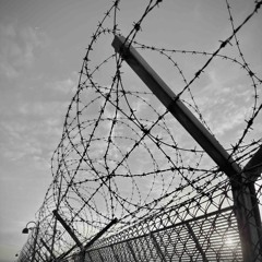 BRANDO b2b BERNI at Ciclorama // 160525