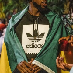 Mawga Lion: Dancehall Mix (HowAboutGoGREEN)