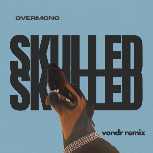Overmono - Skulled (vondr Remix)