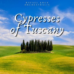 Cypresses of Tuscany