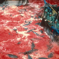 onetake23🐬🐬🐬 (prod Sngomi)