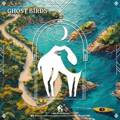 RAVEEN - Ghost Birds (Cafe De Anatolia)