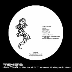 PREMIERE: HearThuG - The Land Of The Never Ending Acid Jazz