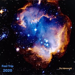 Feel Trip 2020
