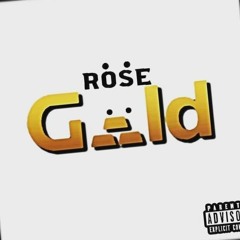 RiskItRose ft. 2gunz- Carousel(Do Dirt Get Done Dirty)