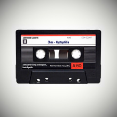 Nyctophilia