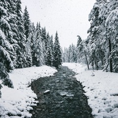 Walking in the Air – from 'THE SNOWMAN' (Music and Words by Howard Blake)
