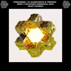 PREMIERE // Claudio Ricci & Tsodor - Don't You Know (Original Mix) [RAFT Music]