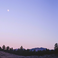 only here, and now w/morningtime