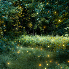 柔らかい雲のベット