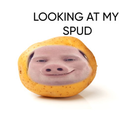 LOOKING AT MY SPUD