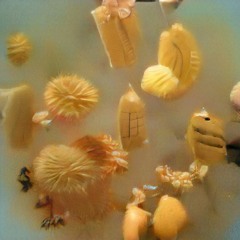 Blades and beads