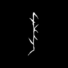 Ankluz - Drakkar