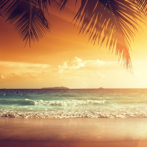 Saving Summer
