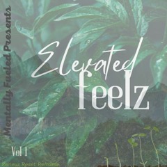 Elevated Feelz Vol.1