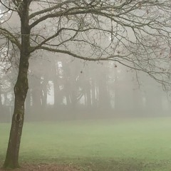 Mysteries of ancient grounds