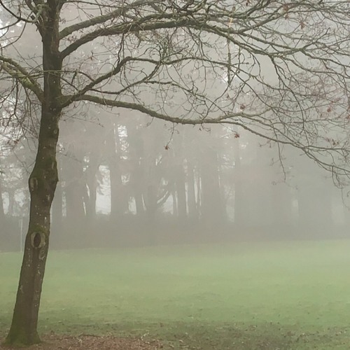 Mysteries of ancient grounds