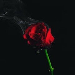 Red Rose (Prod. by Cryptk)