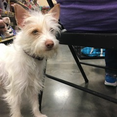 kinky murder machine wip