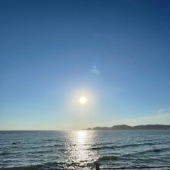 🏴‍☠️🏴‍☠️🏴‍☠️