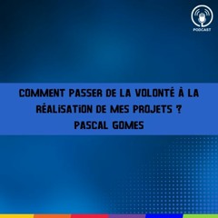 FAQ 0003   Comment Passer De La Volonté À La Réalisation De Mes Projets