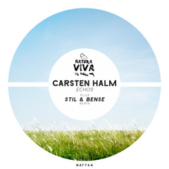 Carsten Halm - Echos (Original mix)