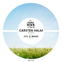 Carsten Halm - Echos (Stil & Bense remix)