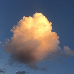 last time u was right